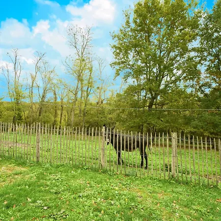 Le Petit'o - Domaine De L'o Feriehus *